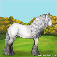 Horse Color:Gray Buckskin Dun 