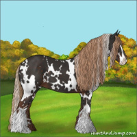Horse Color:White Spotted Liver Chestnut Sabino