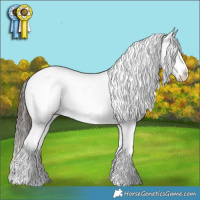 Horse Color:Liver Chestnut Splash Blanket and White Spotted Liver Chestnut Sabino Snowflake Varnish Rabicano