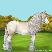 Horse Color:Palomino Pearl Sabino Splash Blanket Rabicano 
