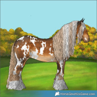 Horse Color:White Spotted Chocolate Palomino 
