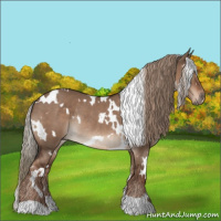 Horse Color:White Spotted Liver Red Dun Rabicano 