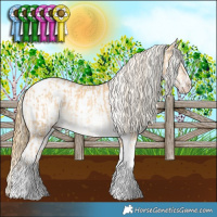 Horse Color:White Spotted Gold Cream Champagne Dun Tobiano  and Sable Cream Champagne Tobiano Snowcap 
