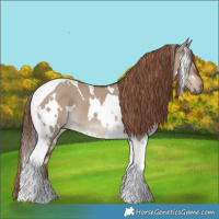 Horse Color:White Spotted Liver Red Dun Tobiano 