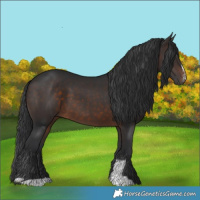 Horse Color:Brown Sabino