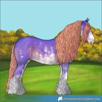 Horse Color:Watercolor Liver Chestnut Sabino 
