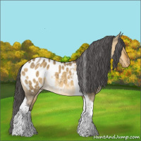 Horse Color:Buckskin Dun Tobiano Blanket Rabicano 