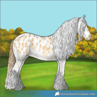 Horse Color:Buckskin Dun Sabino Leopard Rabicano  and Buckskin Dun Tobiano Blanket 