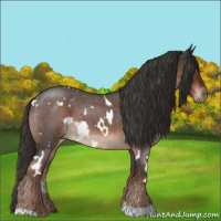 Horse Color:White Spotted Liver Red Roan 
