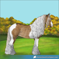 Horse Color:Chocolate Palomino Dun Tobiano Rabicano Brindle 