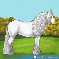 Horse Color:Chocolate Palomino Dun Splash Appaloosa 