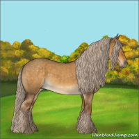 Horse Color:Chocolate Palomino Roan Dun