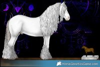 Horse Color:Chocolate Palomino Dun Appaloosa  and Liver Red Dun Appaloosa Rabicano