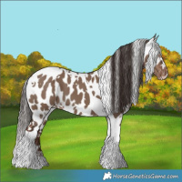 Horse Color:White Spotted Liver Red Dun Tobiano Near Leopard 