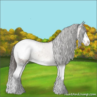 Horse Color:Liver Red Dun Splash Appaloosa Rabicano Brindle 