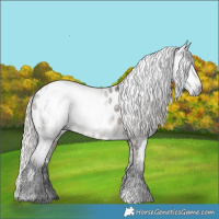Horse Color:Gray White Spotted Silver Brown Dun Appaloosa 