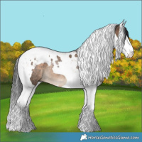 Horse Color:Brown Dun Splash Tobiano Rabicano 