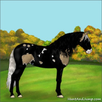 Horse Color:Silver Smoky Black Splash Tobiano
