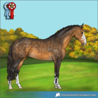 Horse Color:Buckskin 