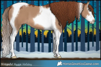 Horse Color:Red Dun Splash Tobiano 