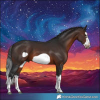 Horse Color:Brown Splash Frame