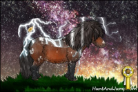 Horse Color:White Spotted Bay Appaloosa