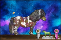 Horse Color:Nacre White Spotted Bay Appaloosa