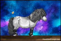 Horse Color:White Spotted Bay Chinchilla Appaloosa 