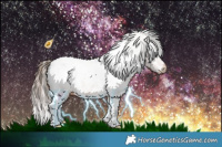 Horse Color:White Spotted Bay Appaloosa 