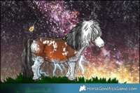 Horse Color:White Spotted Brown 