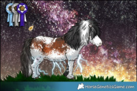 Horse Color:White Spotted Brown 