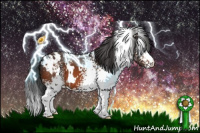 Horse Color:White Spotted Brown 