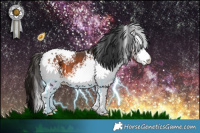 Horse Color:White Spotted Bay 