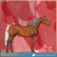 Horse Color:Silver Bay 