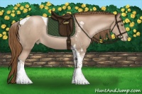 Horse Color:Liver Chestnut Pearl Tobiano