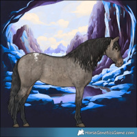 Horse Color:Brown Dun Varnish Brindle 