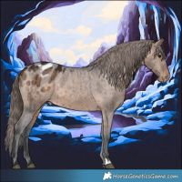 Horse Color:Brown Dun Varnish Brindle 