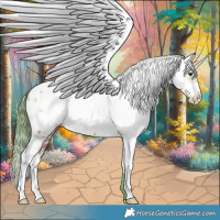 Horse Color:Watercolor Bay Dun Sabino Appaloosa 