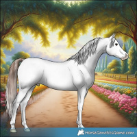 Horse Color:Brown Onyx Appaloosa