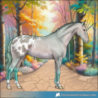 Horse Color:Watercolor Bay Dun Appaloosa 