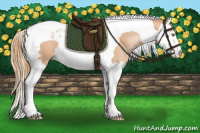 Horse Color:Chestnut Pearl Splash Tobiano 