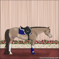 Horse Color:Classic Champagne 