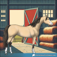 Horse Color:Buckskin 