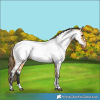 Horse Color:Buckskin Near Fewspot 