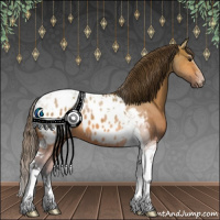 Horse Color:Bay Dun Tobiano Appaloosa 