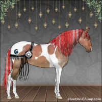 Horse Color:Painted Silver Bay Dun Tobiano 