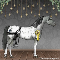 Horse Color:Grullo Tobiano Blanket 
