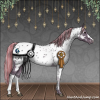 Horse Color:Painted Silver Black Appaloosa 