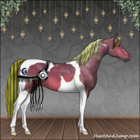 Horse Color:Painted Bay Tobiano 
