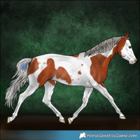 Horse Color:Silver Bay Splash Tobiano Rabicano 